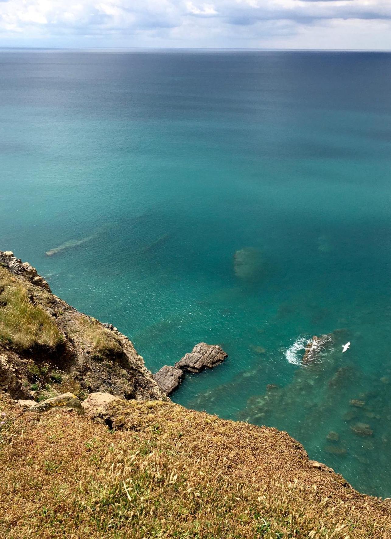 Petrock Holiday Cottages Newton Saint Petrock Εξωτερικό φωτογραφία