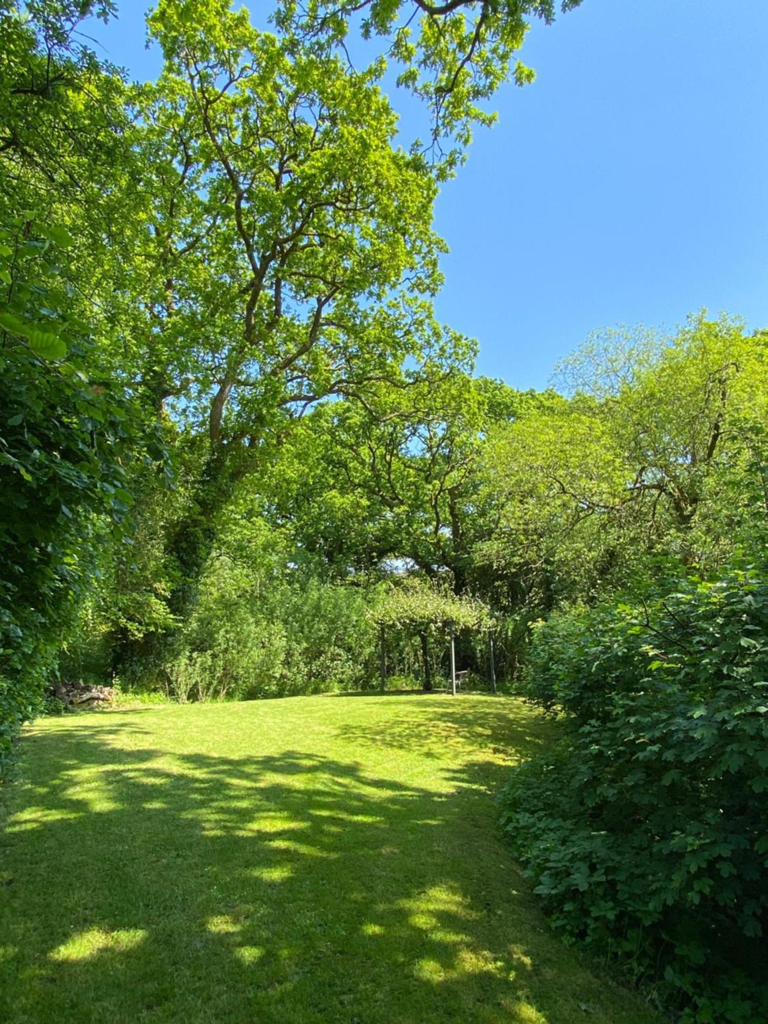 Petrock Holiday Cottages Newton Saint Petrock Δωμάτιο φωτογραφία
