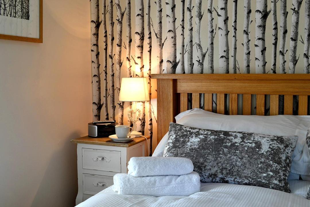 Petrock Holiday Cottages Newton Saint Petrock Εξωτερικό φωτογραφία